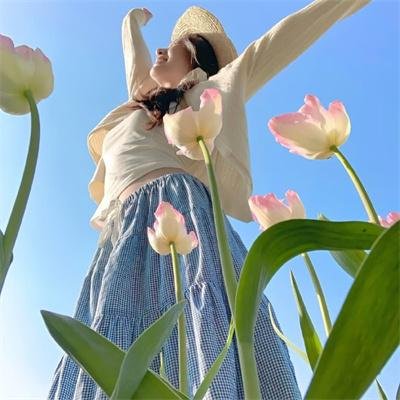 红色康乃馨